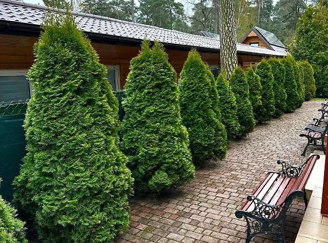 בית הארחה Dom Pod Sosnami