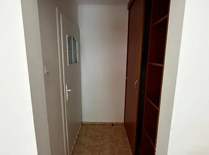 게스트하우스 Dom Pod Sosnami 포비에로보