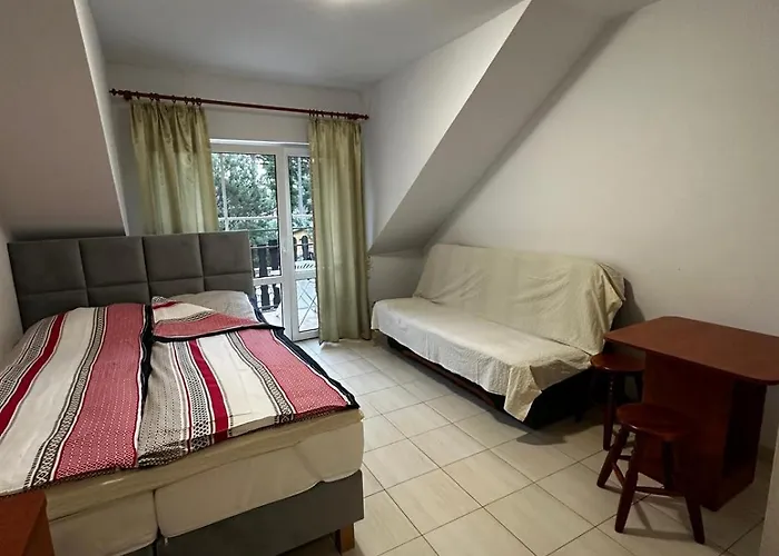 게스트하우스 Dom Pod Sosnami